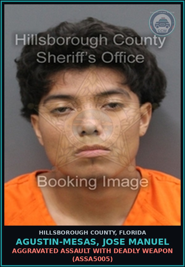 Booking mugshot of AGUSTIN-MESAS, JOSE MANUEL in Hillsborough County