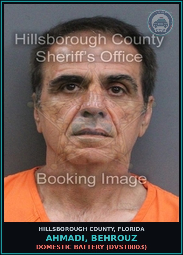 Booking mugshot of AHMADI, BEHROUZ in Hillsborough County