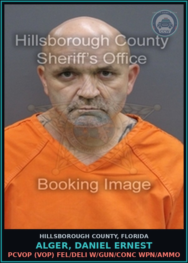 Booking mugshot of ALGER, DANIEL ERNEST in Hillsborough County