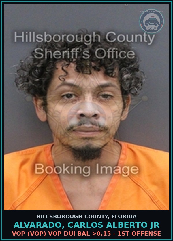 Booking mugshot of ALVARADO, CARLOS ALBERTO JR in Hillsborough County