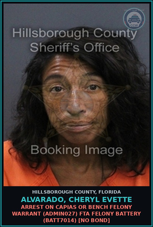 Booking mugshot of ALVARADO, CHERYL EVETTE in Hillsborough County
