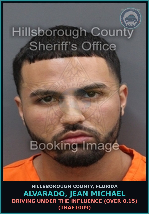 Booking mugshot of ALVARADO, JEAN MICHAEL in Hillsborough County