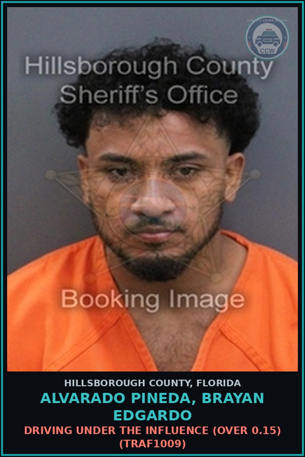 Booking mugshot of ALVARADO PINEDA, BRAYAN EDGARDO in Hillsborough County