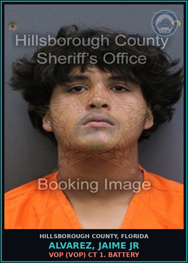 Booking mugshot of ALVAREZ, JAIME JR in Hillsborough County