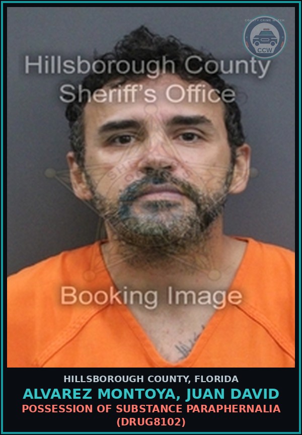Booking mugshot of ALVAREZ MONTOYA, JUAN DAVID in Hillsborough County