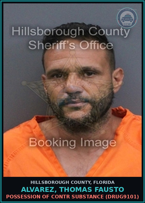 Booking mugshot of ALVAREZ, THOMAS FAUSTO in Hillsborough County