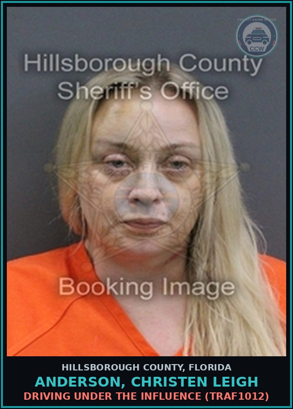 Booking mugshot of ANDERSON, CHRISTEN LEIGH in Hillsborough County
