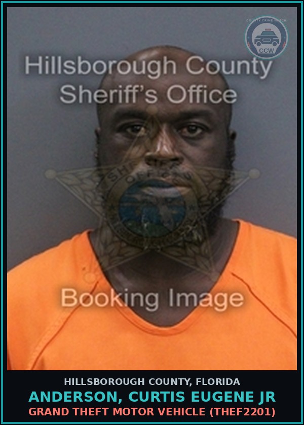 Booking mugshot of ANDERSON, CURTIS EUGENE JR in Hillsborough County