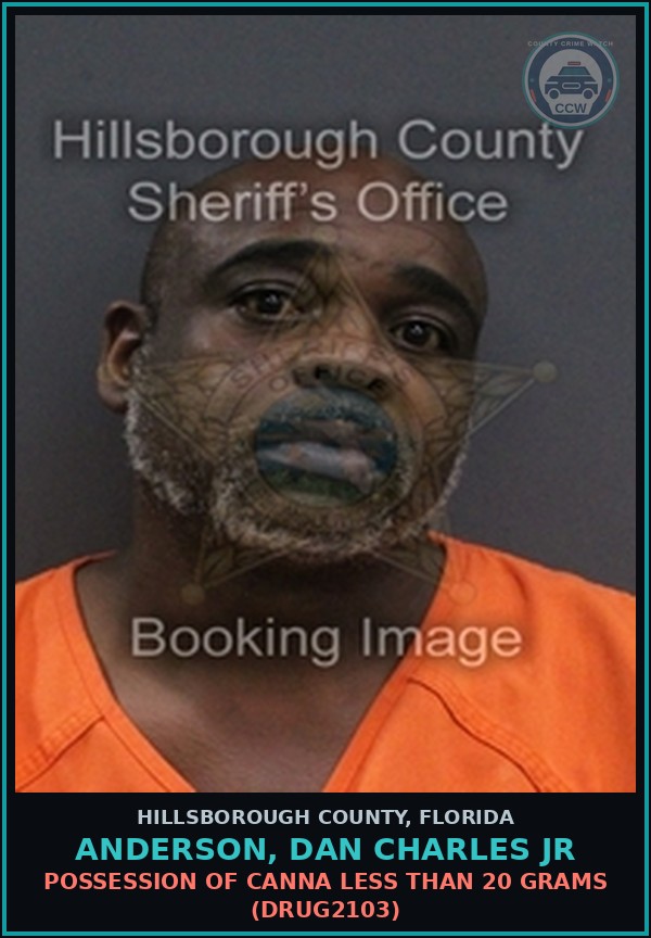 Booking mugshot of ANDERSON, DAN CHARLES JR in Hillsborough County