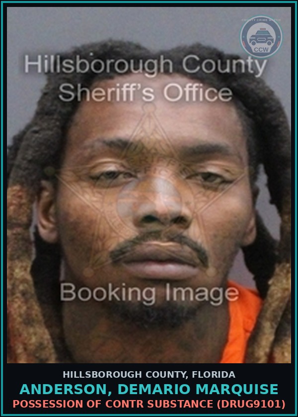 Booking mugshot of ANDERSON, DEMARIO MARQUISE in Hillsborough County
