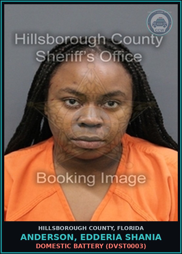 Booking mugshot of ANDERSON, EDDERIA SHANIA in Hillsborough County