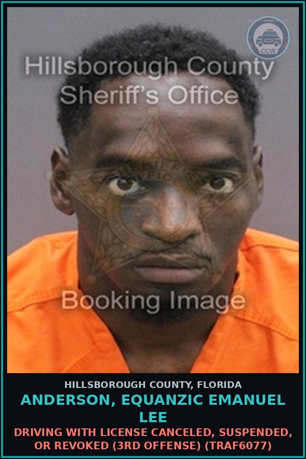 Booking mugshot of ANDERSON, EQUANZIC EMANUEL LEE in Hillsborough County