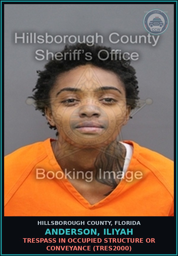 Booking mugshot of ANDERSON, ILIYAH in Hillsborough County