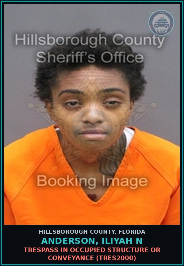 Booking mugshot of ANDERSON, ILIYAH N in Hillsborough County