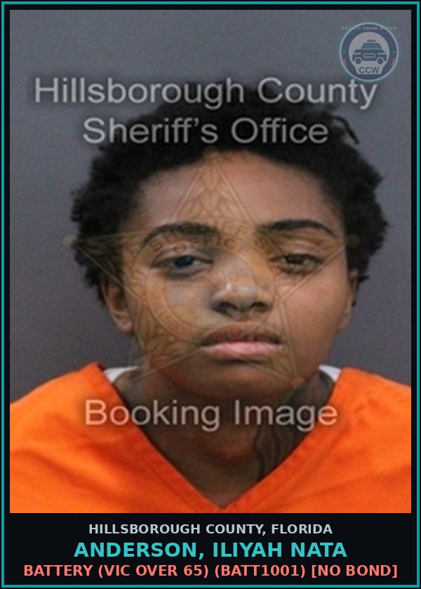 Booking mugshot of ANDERSON, ILIYAH NATA in Hillsborough County