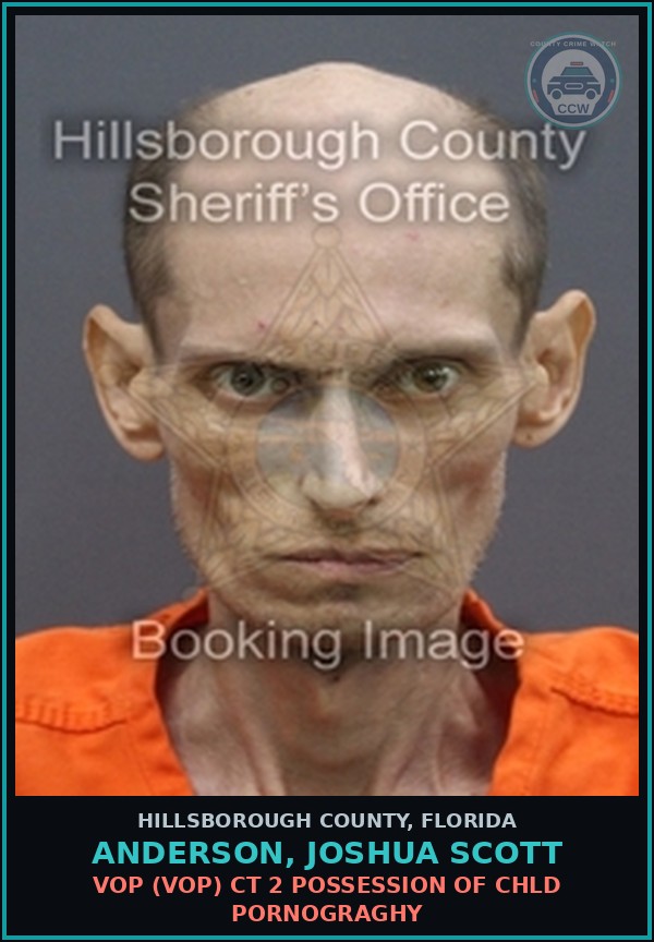 Booking mugshot of ANDERSON, JOSHUA SCOTT in Hillsborough County