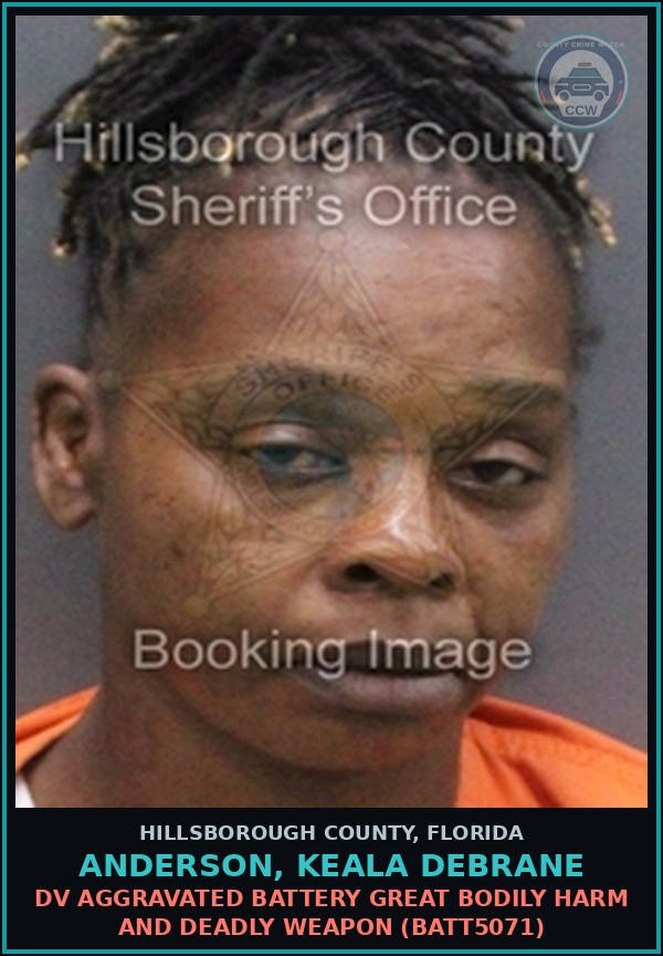 Booking mugshot of ANDERSON, KEALA DEBRANE in Hillsborough County