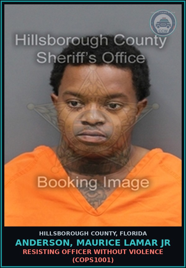 Booking mugshot of ANDERSON, MAURICE LAMAR JR in Hillsborough County