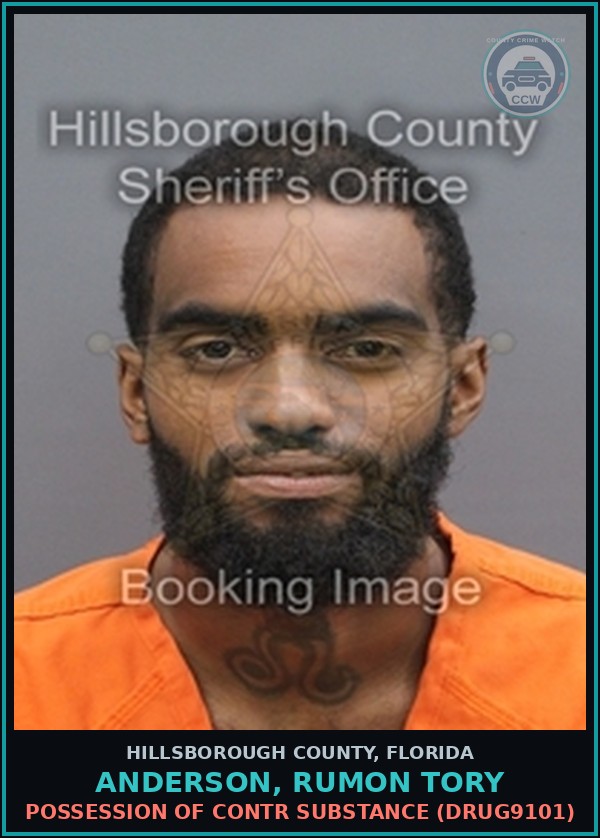 Booking mugshot of ANDERSON, RUMON TORY in Hillsborough County