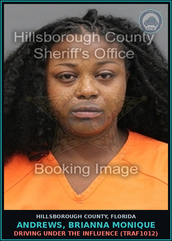 Booking mugshot of ANDREWS, BRIANNA MONIQUE in Hillsborough County