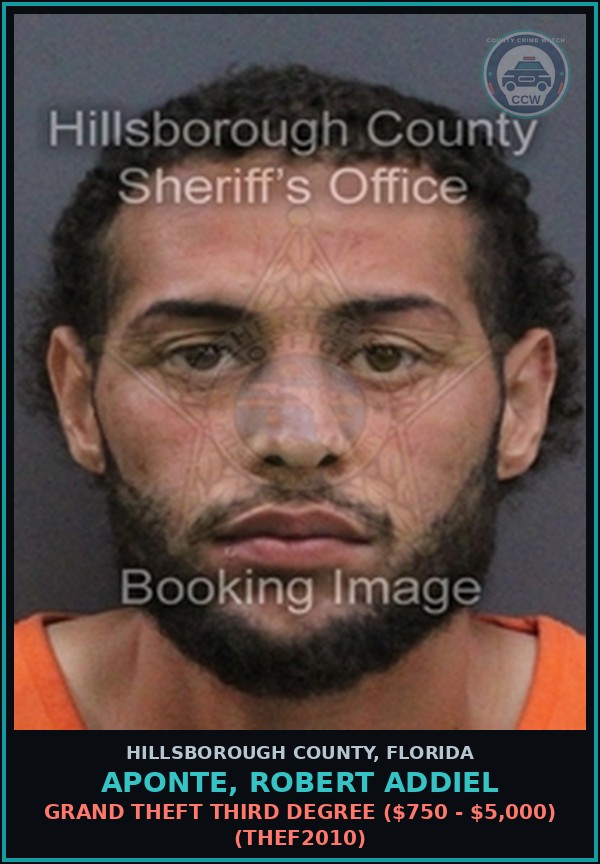 Booking mugshot of APONTE, ROBERT ADDIEL in Hillsborough County