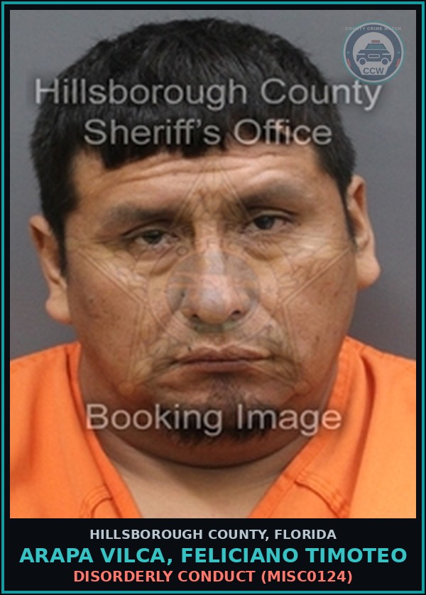 Booking mugshot of ARAPA VILCA, FELICIANO TIMOTEO in Hillsborough County