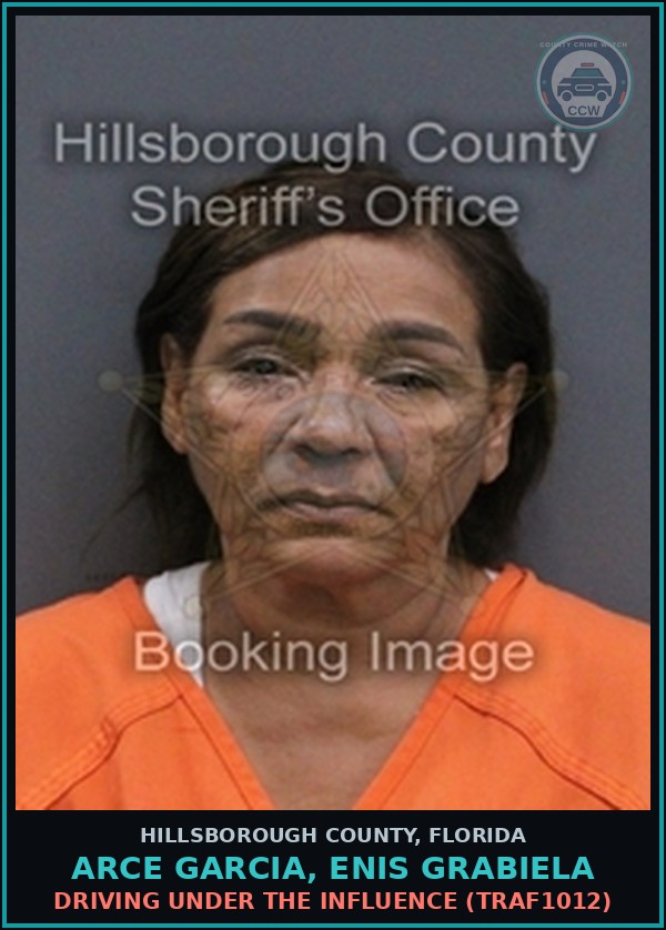 Booking mugshot of ARCE GARCIA, ENIS GRABIELA in Hillsborough County