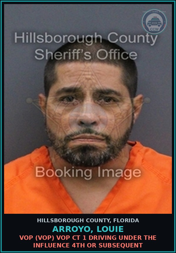 Booking mugshot of ARROYO, LOUIE in Hillsborough County
