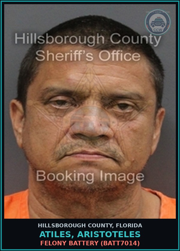 Booking mugshot of ATILES, ARISTOTELES in Hillsborough County