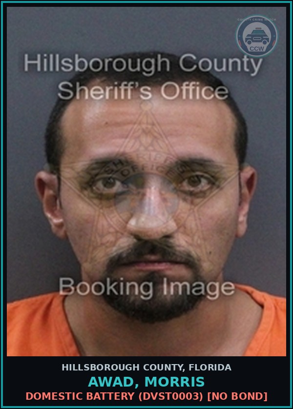 Booking mugshot of AWAD, MORRIS in Hillsborough County