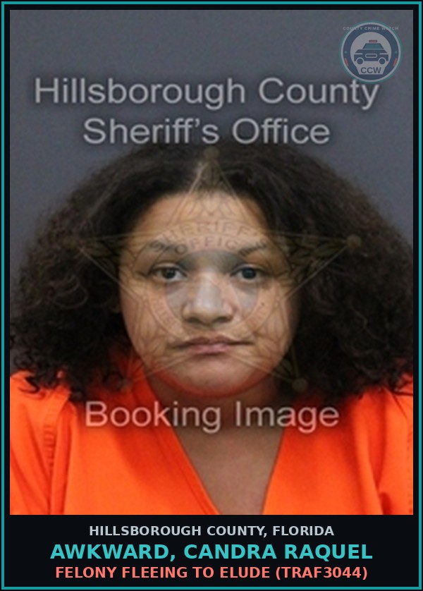 Booking mugshot of AWKWARD, CANDRA RAQUEL in Hillsborough County