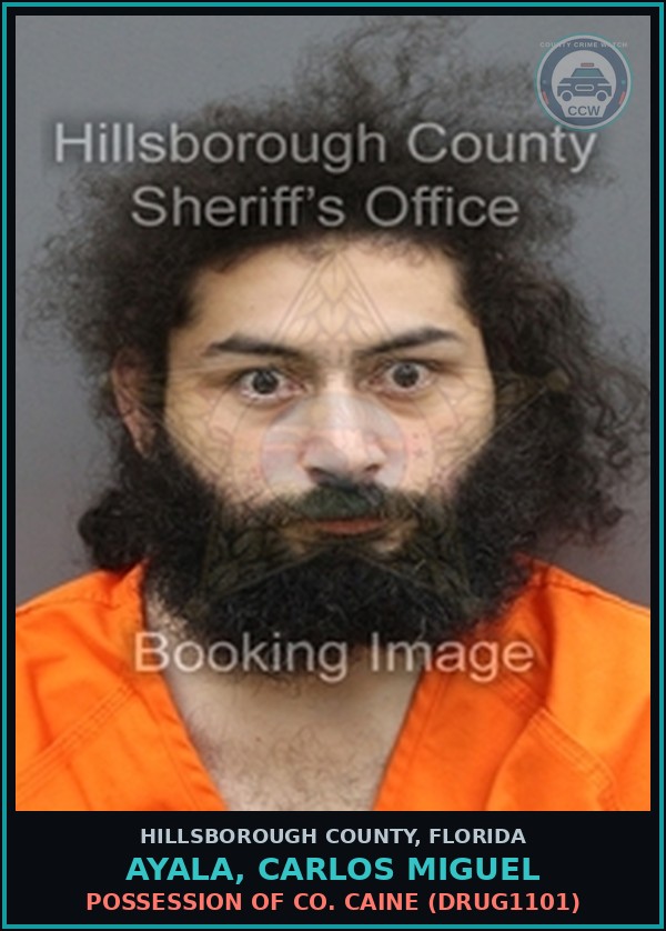 Booking mugshot of AYALA, CARLOS MIGUEL in Hillsborough County