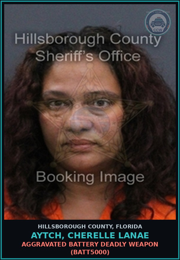 Booking mugshot of AYTCH, CHERELLE LANAE in Hillsborough County