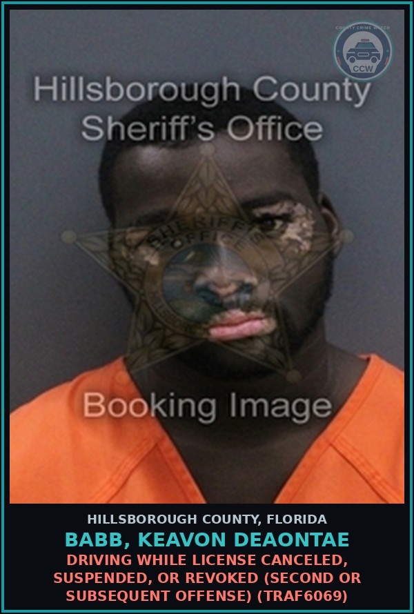 Booking mugshot of BABB, KEAVON DEAONTAE in Hillsborough County