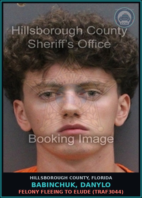 Booking mugshot of BABINCHUK, DANYLO in Hillsborough County