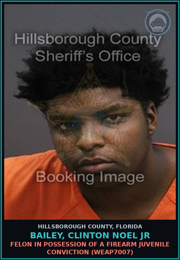 Booking mugshot of BAILEY, CLINTON NOEL JR in Hillsborough County