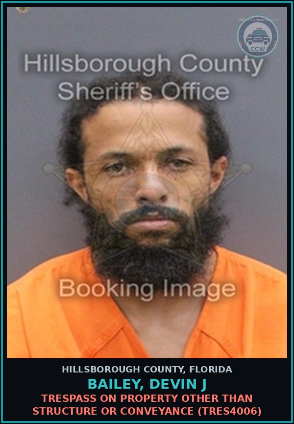 Booking mugshot of BAILEY, DEVIN J in Hillsborough County