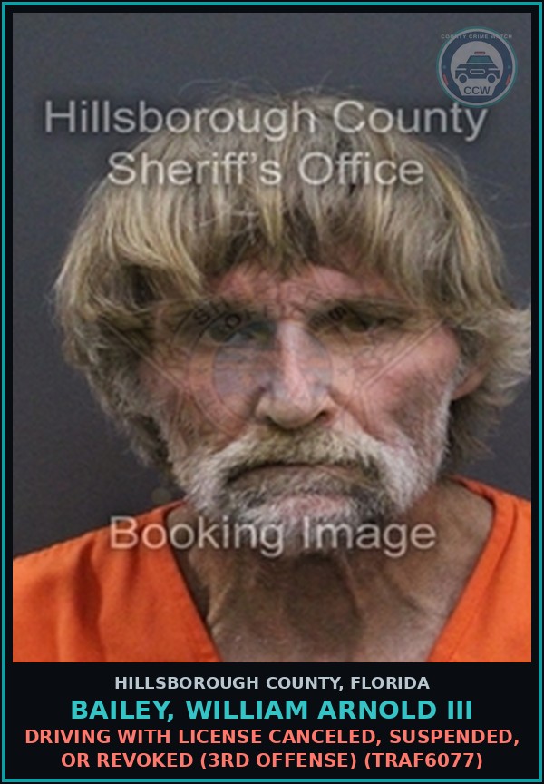Booking mugshot of BAILEY, WILLIAM ARNOLD III in Hillsborough County