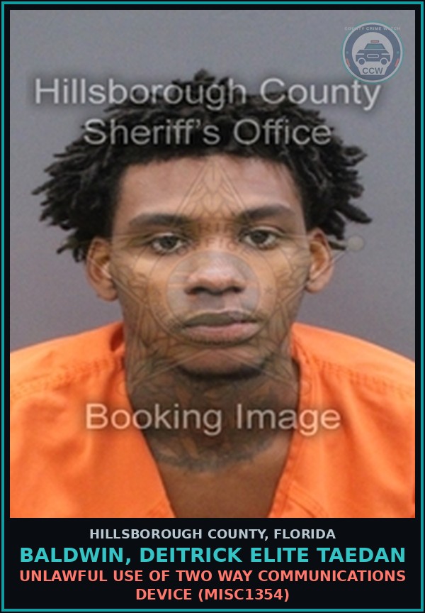 Booking mugshot of BALDWIN, DEITRICK ELITE TAEDAN in Hillsborough County
