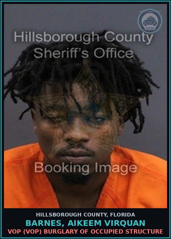 Booking mugshot of BARNES, AIKEEM VIRQUAN in Hillsborough County