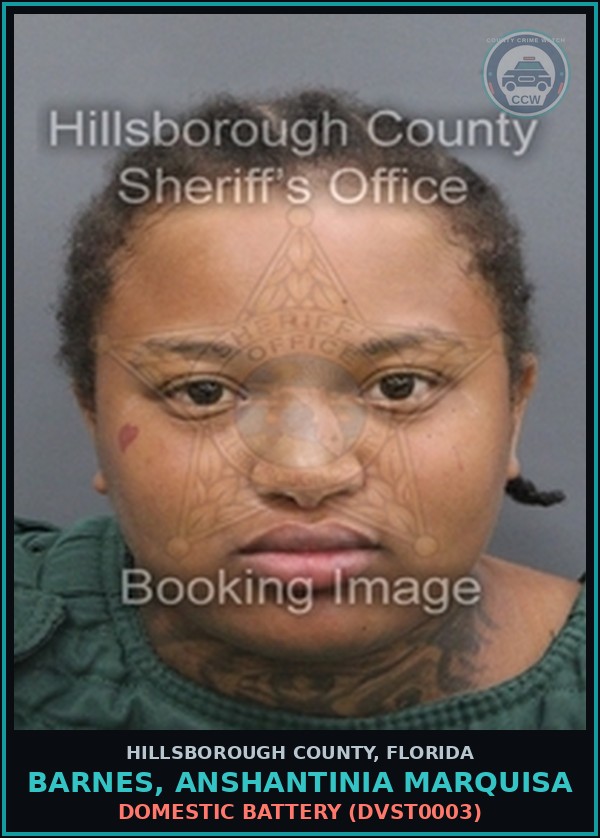 Booking mugshot of BARNES, ANSHANTINIA MARQUISA in Hillsborough County