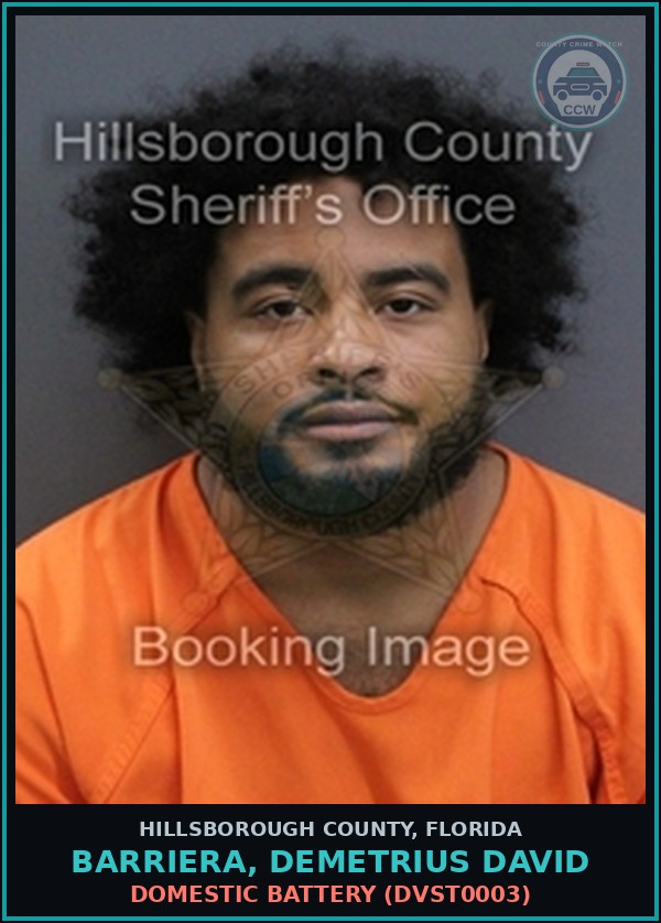 Booking mugshot of BARRIERA, DEMETRIUS DAVID in Hillsborough County
