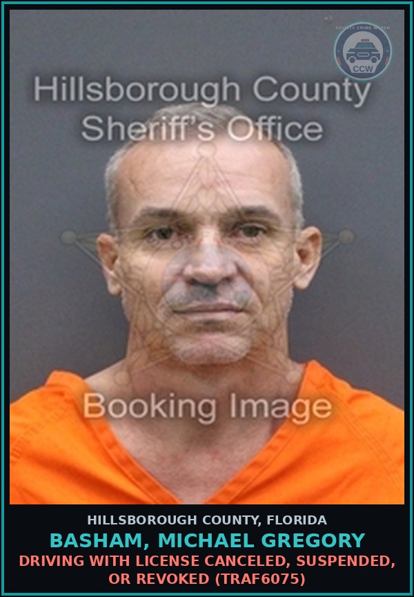 Booking mugshot of BASHAM, MICHAEL GREGORY in Hillsborough County