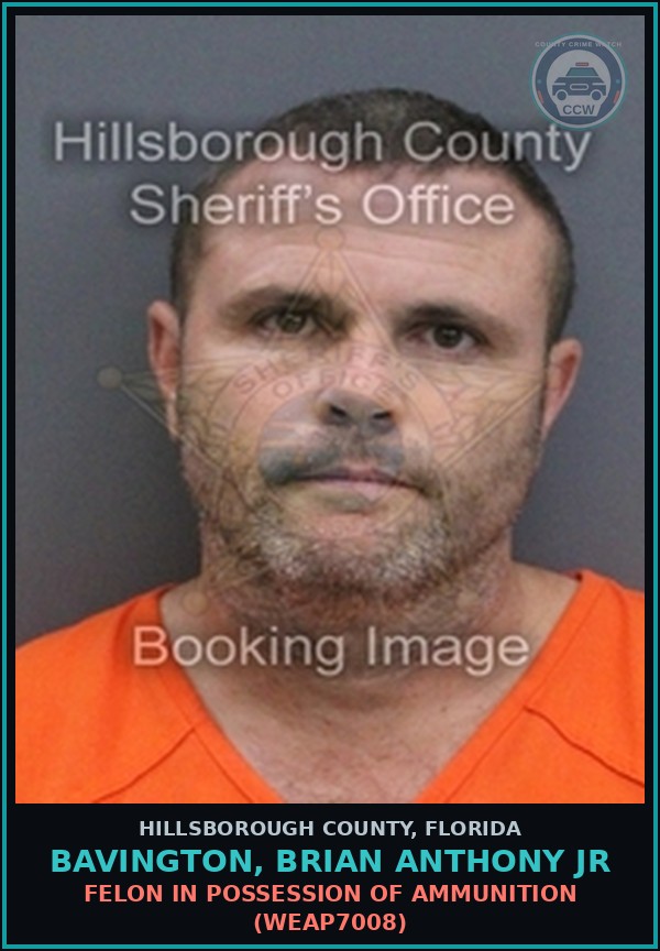 Booking mugshot of BAVINGTON, BRIAN ANTHONY JR in Hillsborough County