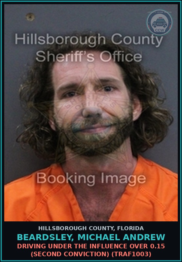 Booking mugshot of BEARDSLEY, MICHAEL ANDREW in Hillsborough County