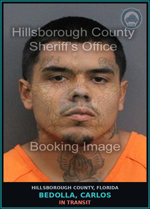 Booking mugshot of BEDOLLA, CARLOS in Hillsborough County
