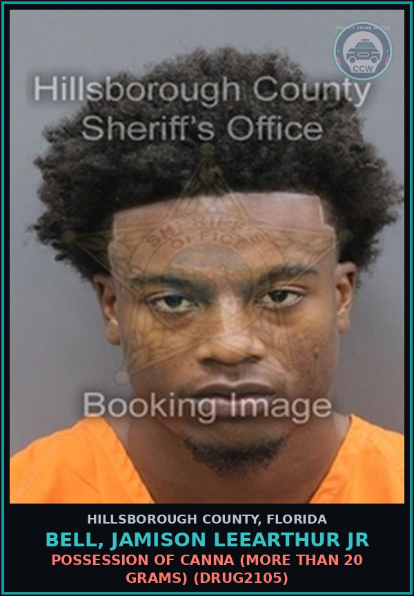 Booking mugshot of BELL, JAMISON LEEARTHUR JR in Hillsborough County
