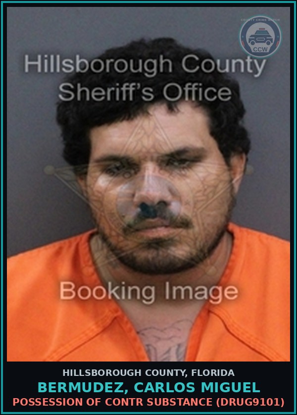 Booking mugshot of BERMUDEZ, CARLOS MIGUEL in Hillsborough County