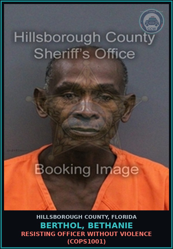 Booking mugshot of BERTHOL, BETHANIE in Hillsborough County