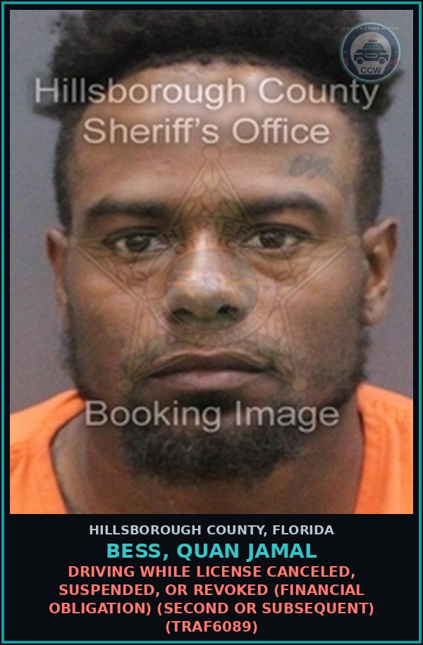 Booking mugshot of BESS, QUAN JAMAL in Hillsborough County